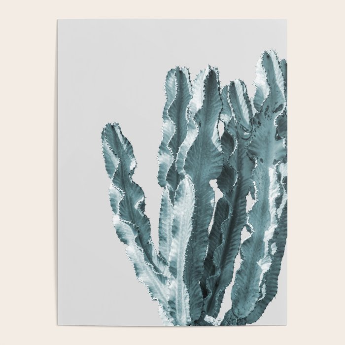 Cacti in Blue Poster Gallery Image 1