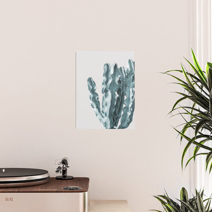 Cacti in Blue Poster Gallery Image 2