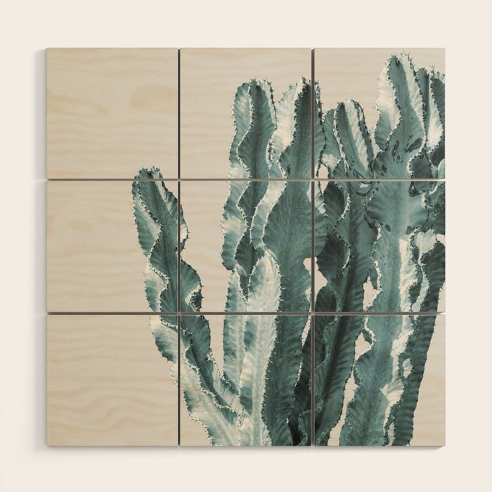 Cacti in Blue Wood Wall Art Gallery Image 1