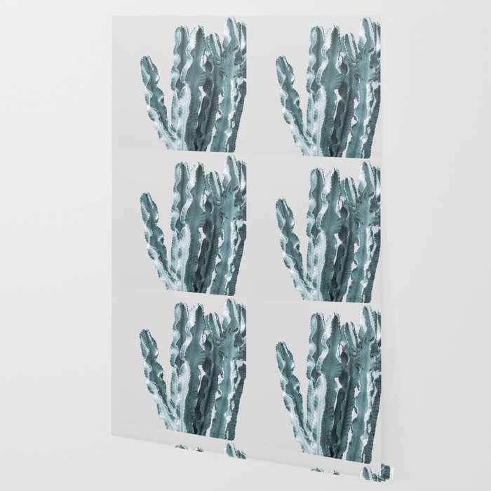 Cacti in Blue Wallpaper Gallery Image 2