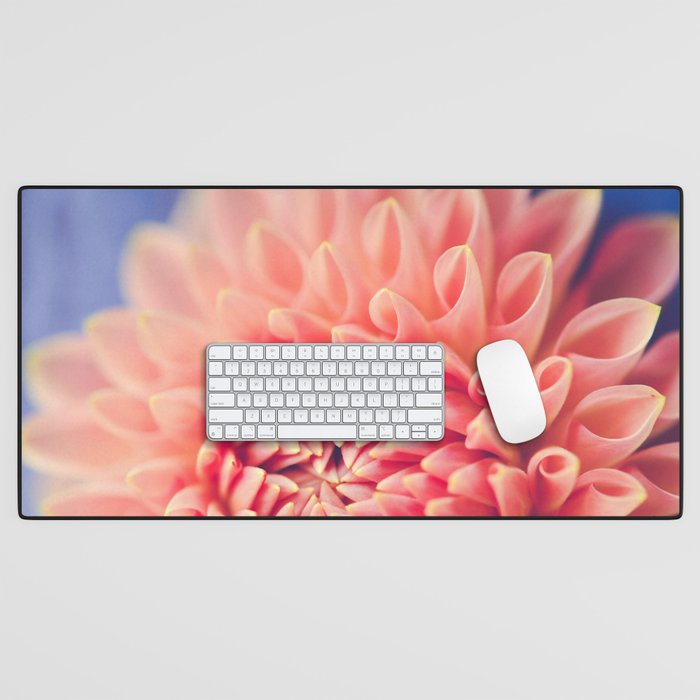 Enlightened -pink autumn dahlia flower photography Desk Mat Gallery Image 1