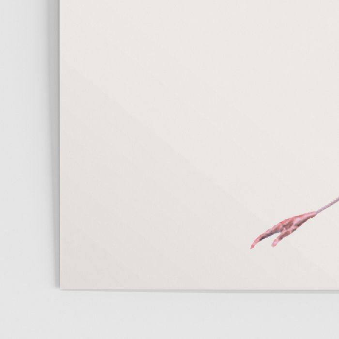 Flamingo Floral Poster Gallery Image 3