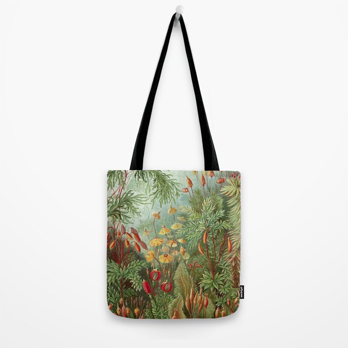 Scientific Illustration of Moss in the Forest -  Haeckel, 1904 Tote Bag Gallery Image 2