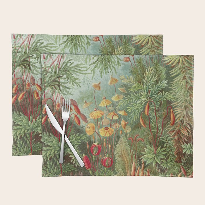 Scientific Illustration of Moss in the Forest -  Haeckel, 1904 Placemat Gallery Image 1