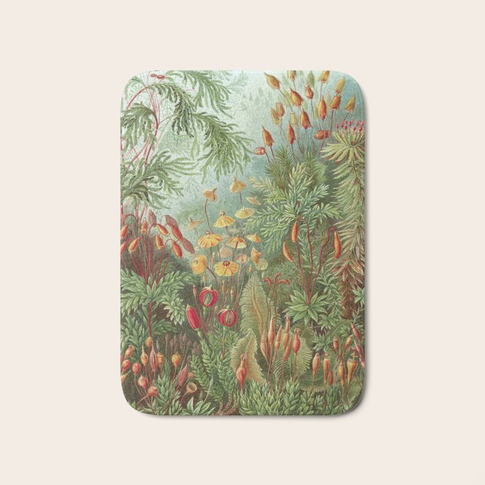 Scientific Illustration of Moss in the Forest -  Haeckel, 1904 Bath Mat Gallery Image 1