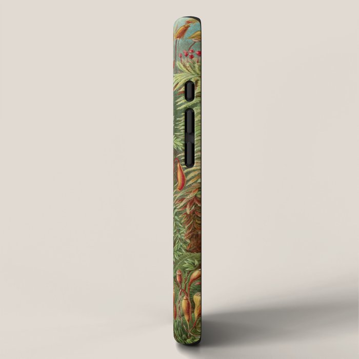 Scientific Illustration of Moss in the Forest -  Haeckel, 1904 iPhone Case Gallery Image 2