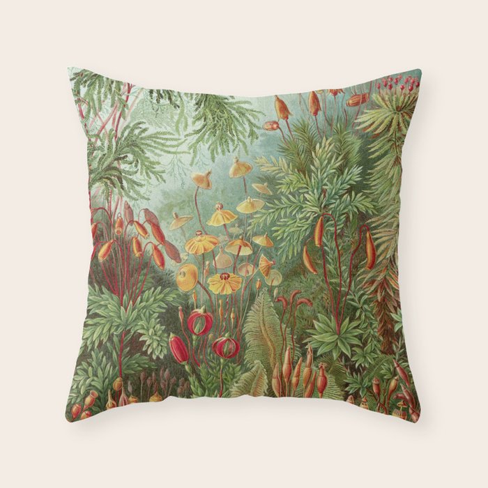 Scientific Illustration of Moss in the Forest -  Haeckel, 1904 Throw Pillow Gallery Image 1