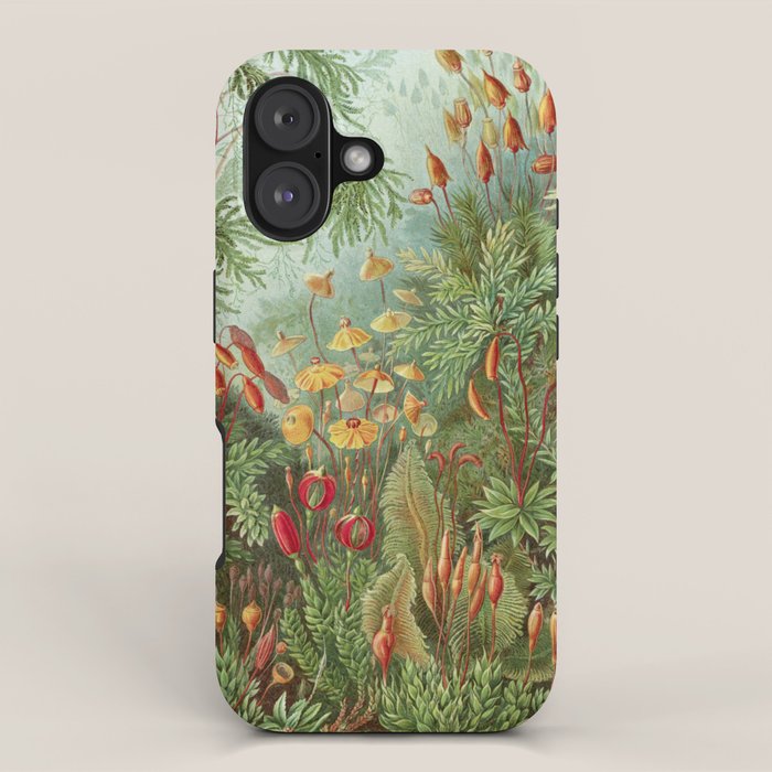Scientific Illustration of Moss in the Forest -  Haeckel, 1904 iPhone Case Gallery Image 1