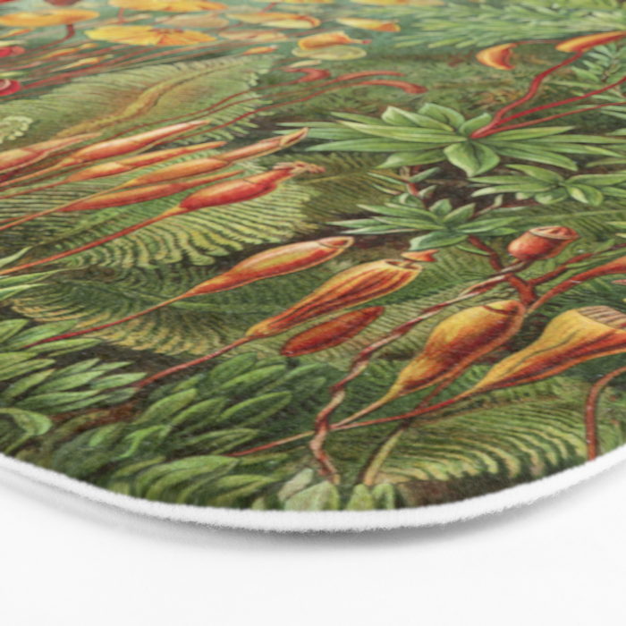 Scientific Illustration of Moss in the Forest -  Haeckel, 1904 Bath Mat Gallery Image 3