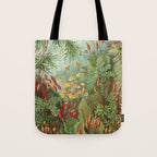 Scientific Illustration of Moss in the Forest -  Haeckel, 1904 Tote Bag Gallery Image 1