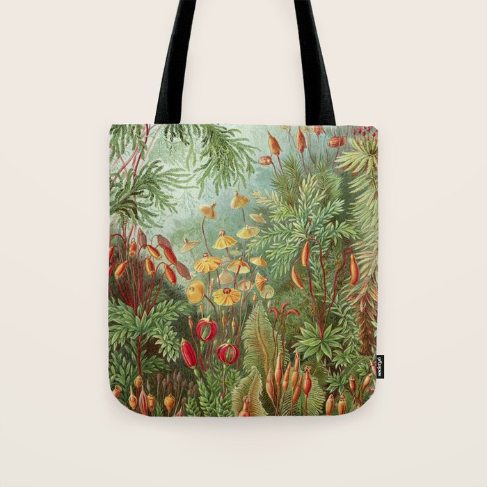 Scientific Illustration of Moss in the Forest -  Haeckel, 1904 Tote Bag Gallery Image 1