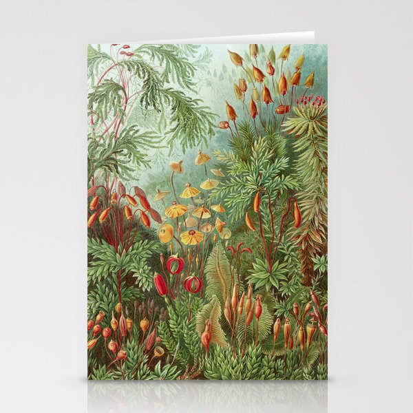 Scientific Illustration of Moss in the Forest -  Haeckel, 1904 Stationery Card Gallery Image 1