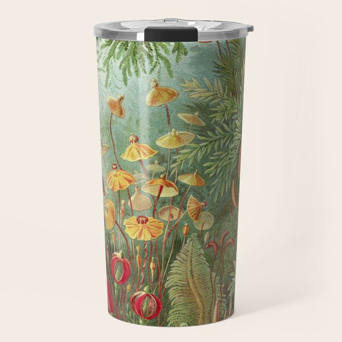 Scientific Illustration of Moss in the Forest -  Haeckel, 1904 Travel Mug Gallery Image 1