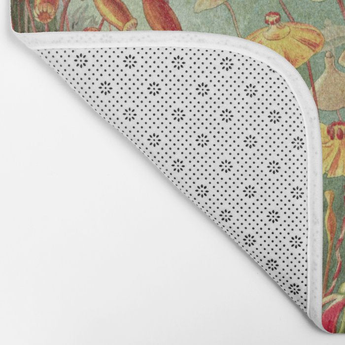 Scientific Illustration of Moss in the Forest -  Haeckel, 1904 Bath Mat Gallery Image 2