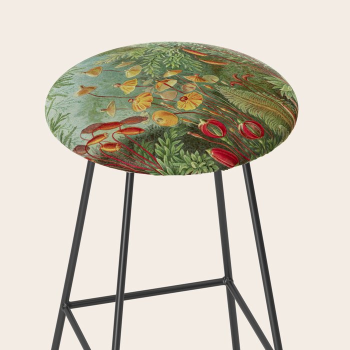 Scientific Illustration of Moss in the Forest -  Haeckel, 1904 Stool Gallery Image 2