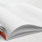 Succulent Man Notebook Gallery Image 2