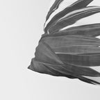 Agave Cactus Black & White Pillow Sham Gallery Image 4