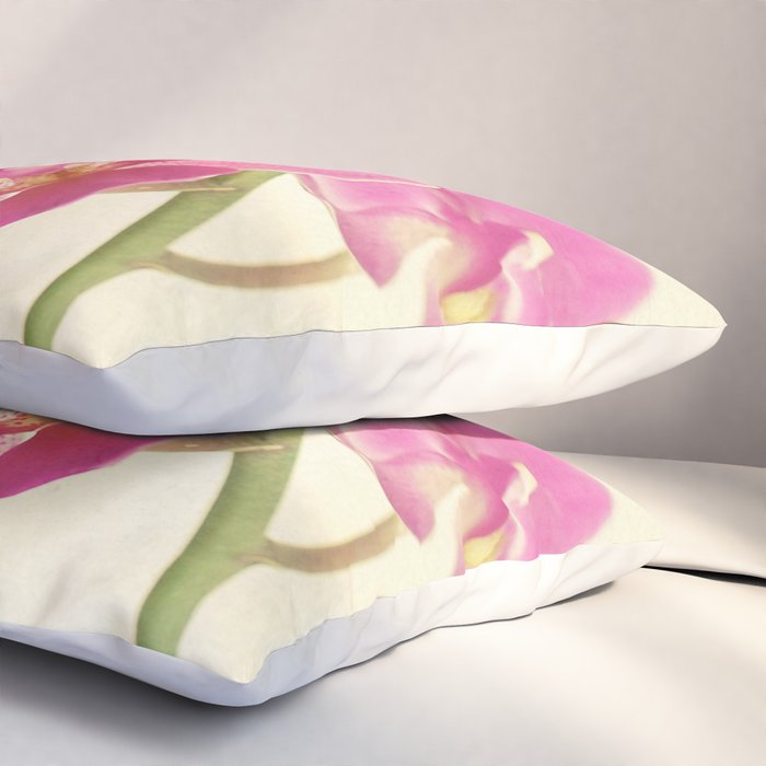Pink Orchid Pillow Sham Gallery Image 3