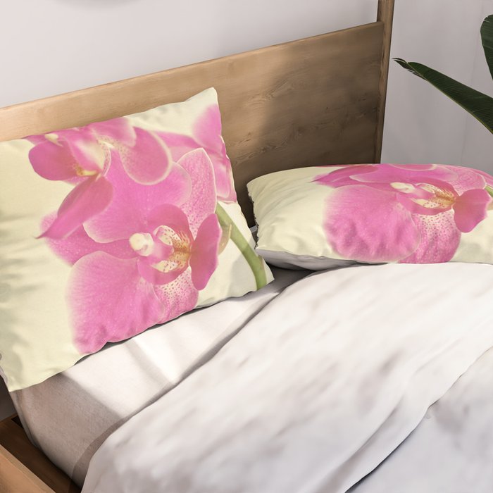 Pink Orchid Pillow Sham Gallery Image 2