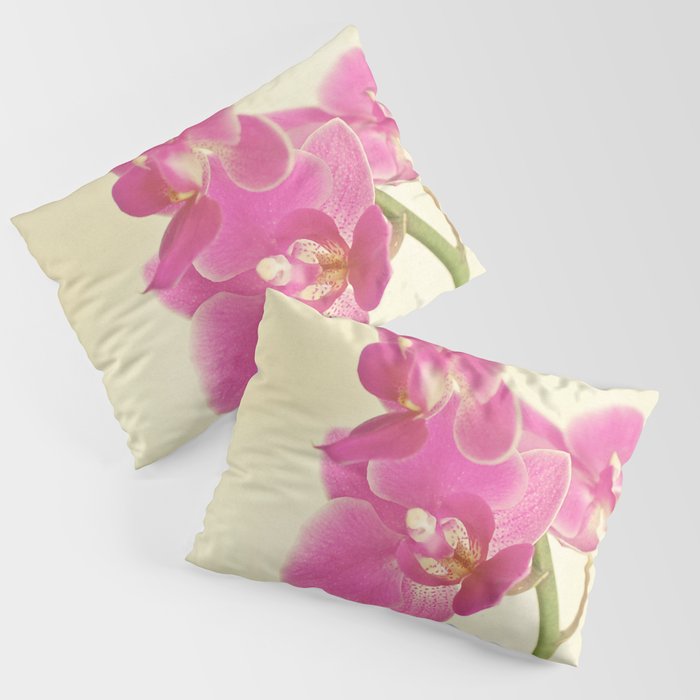 Pink Orchid Pillow Sham Gallery Image 3
