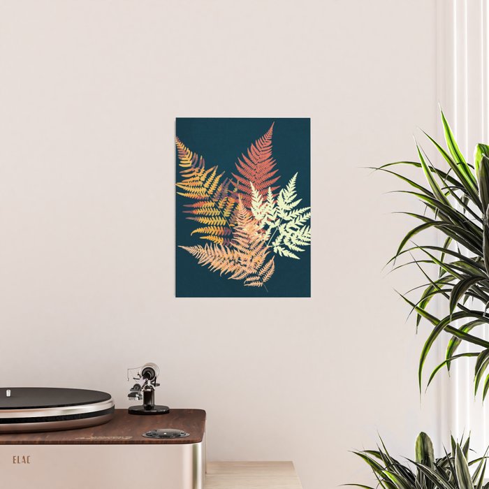 Autumn Fern Poster Gallery Image 2