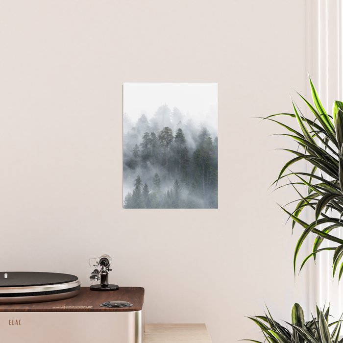Redwood National Park Forest Fog Poster Gallery Image 2
