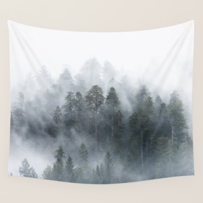 Redwood National Park Forest Fog Wall Tapestry Gallery Image 4