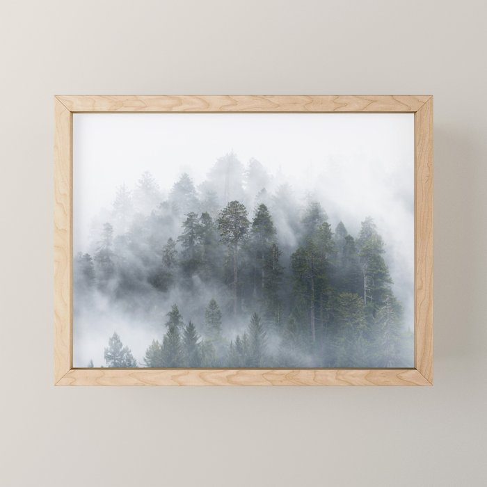 Redwood National Park Forest Fog Mini Art Print Gallery Image 1