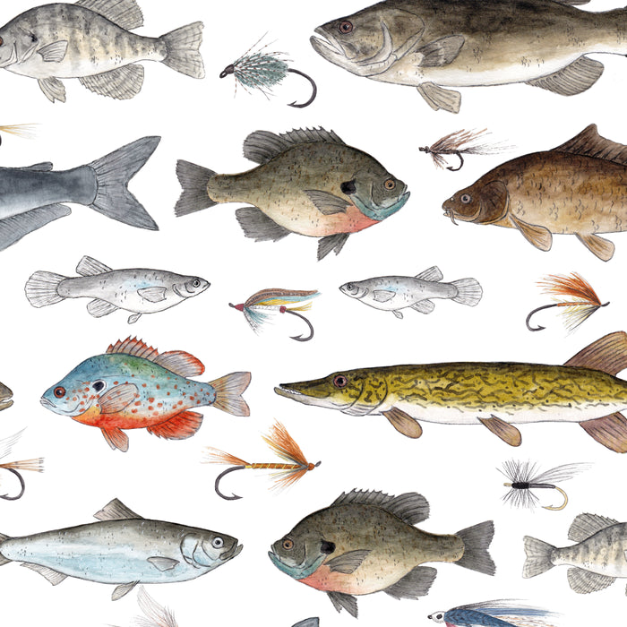 Freshwater Fish with Flies Coffee Mug Gallery Image 2