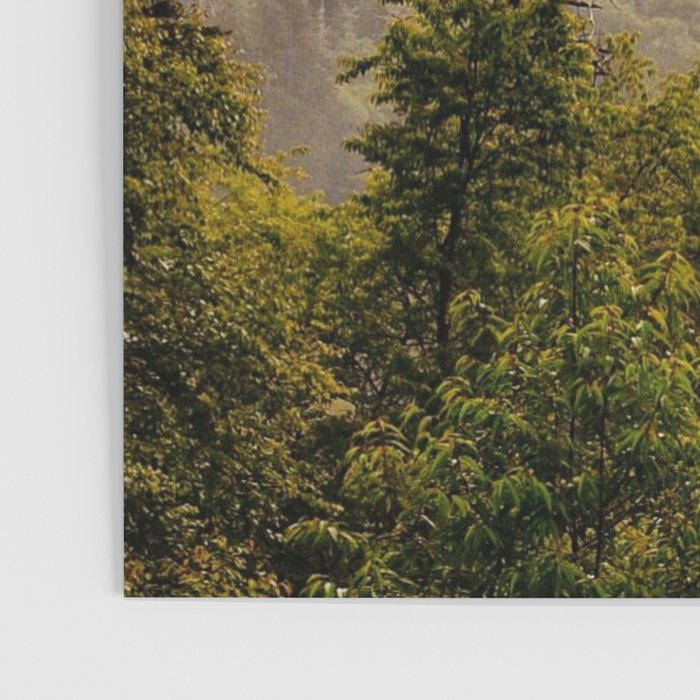 Great Smoky Mountains  Poster Gallery Image 3