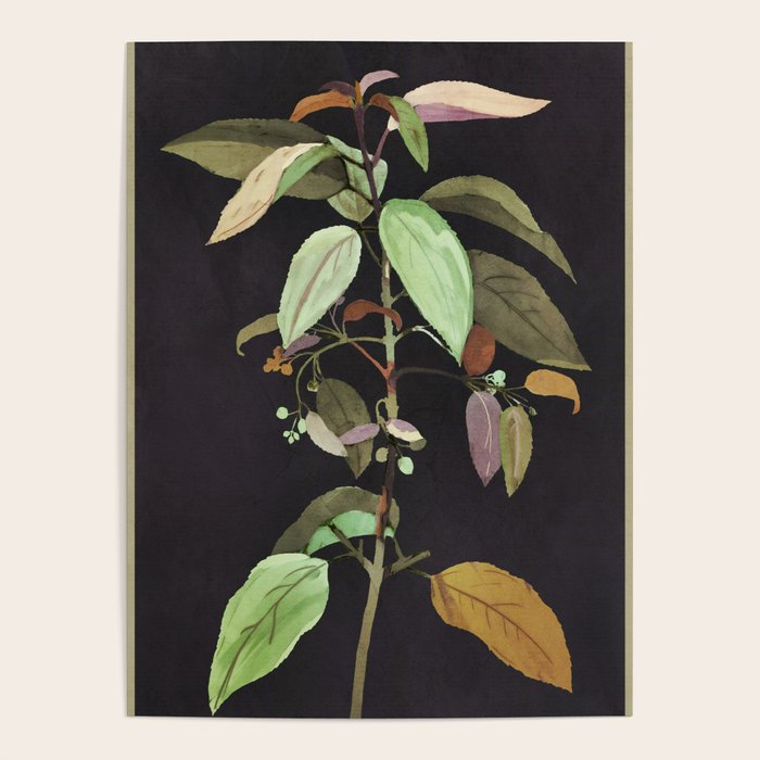 Night Plant Poster Gallery Image 1