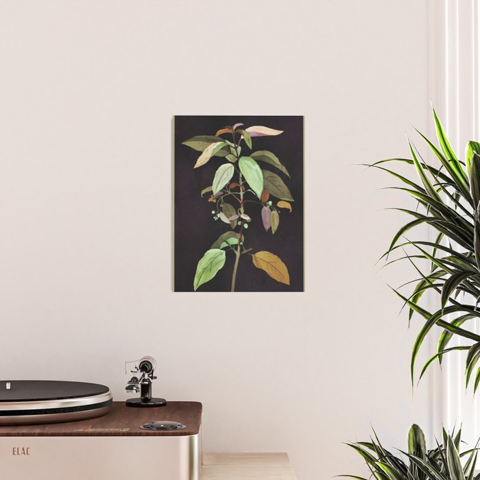 Night Plant Poster Gallery Image 2