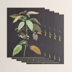 Night Plant Wrapping Paper Gallery Image 3