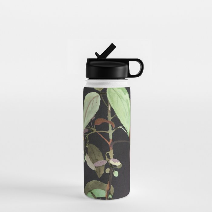 Night Plant Water Bottle Gallery Image 1