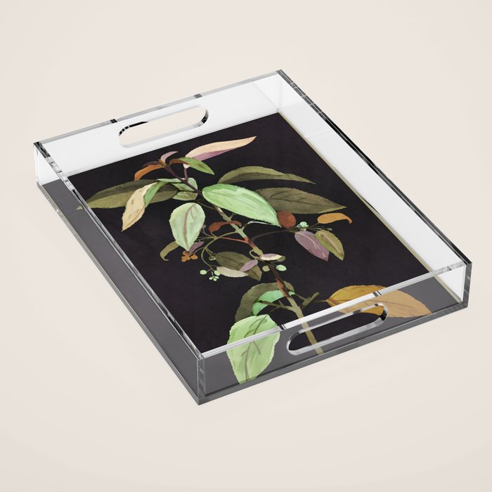 Night Plant Acrylic Tray Gallery Image 1