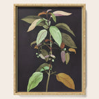 Night Plant Serving Tray Gallery Image 1