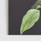 Night Plant Poster Gallery Image 3