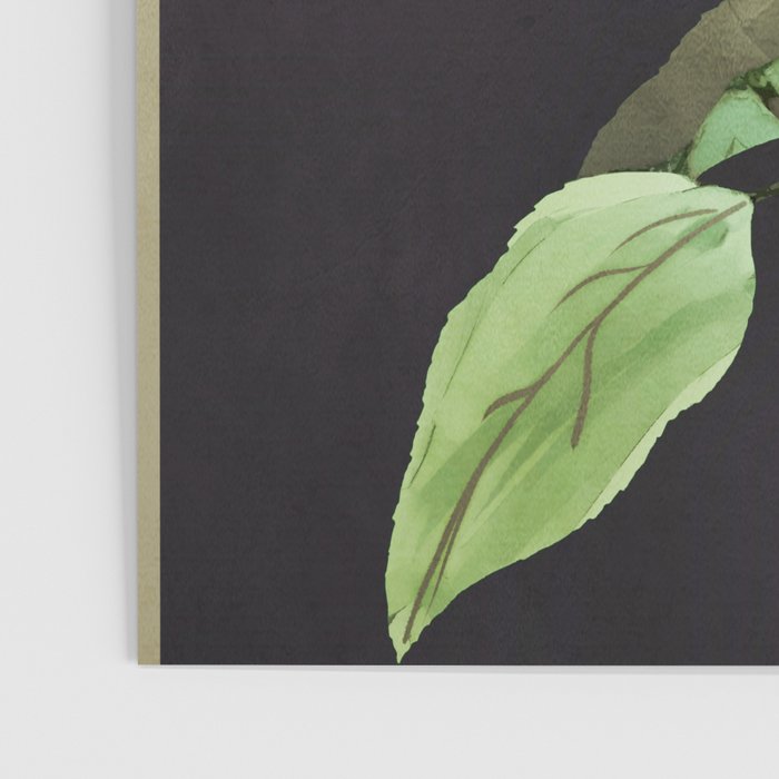 Night Plant Poster Gallery Image 3
