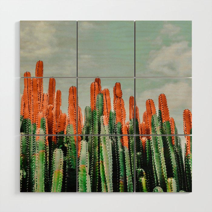 Daydream desert Wood Wall Art Gallery Image 1