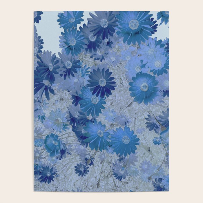 Blue Daisies Poster Gallery Image 4