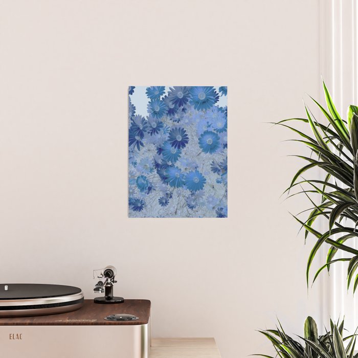 Blue Daisies Poster Gallery Image 2