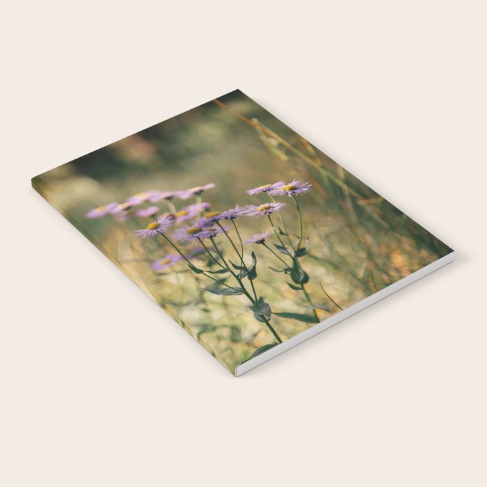 Aspen Fleabane Notebook Gallery Image 2