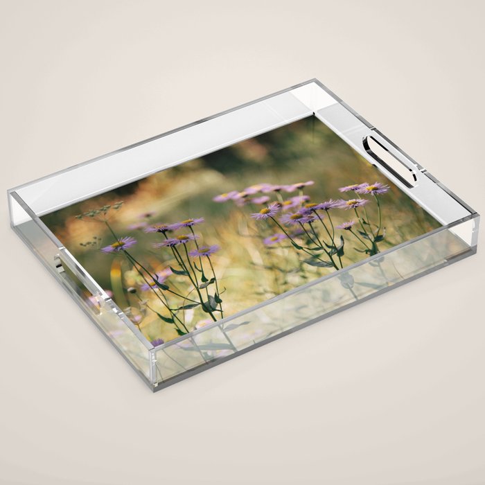 Aspen Fleabane Acrylic Tray Gallery Image 1