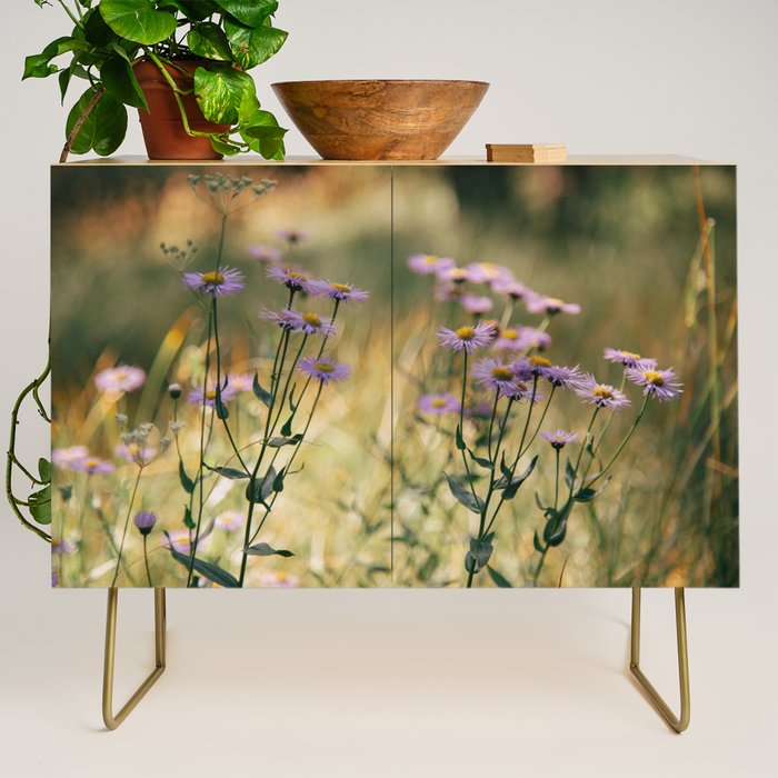 Aspen Fleabane Credenza Gallery Image 1