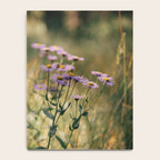 Aspen Fleabane Notebook Gallery Image 4