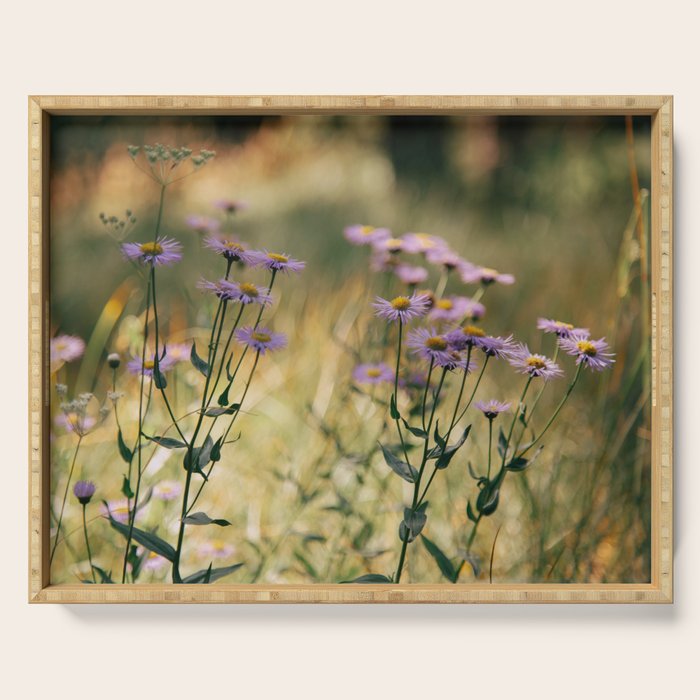 Aspen Fleabane Serving Tray Gallery Image 1