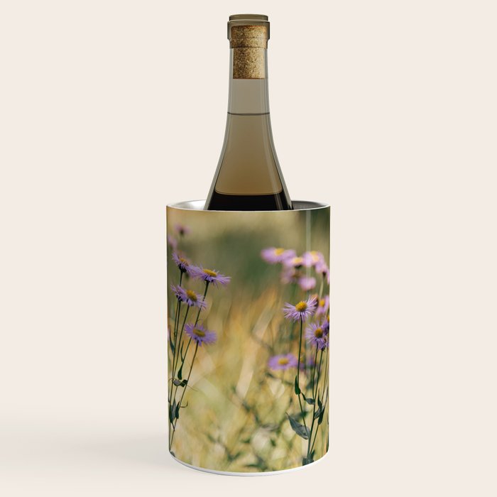 Aspen Fleabane Wine Chiller Gallery Image 1