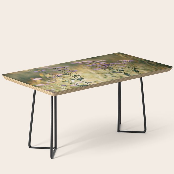 Aspen Fleabane Coffee Table Gallery Image 1