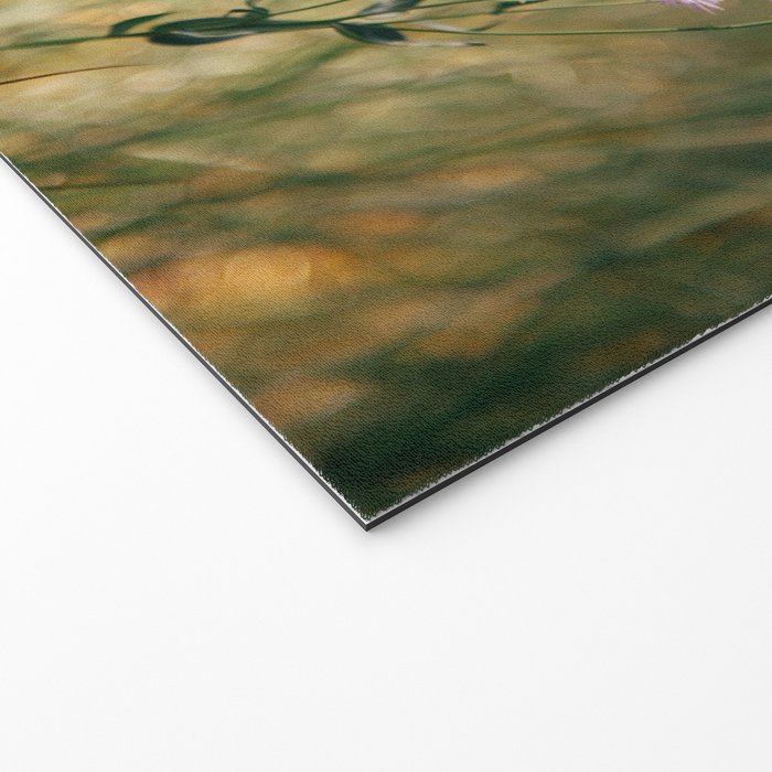 Aspen Fleabane Welcome Mat Gallery Image 2