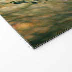 Aspen Fleabane Welcome Mat Gallery Image 2